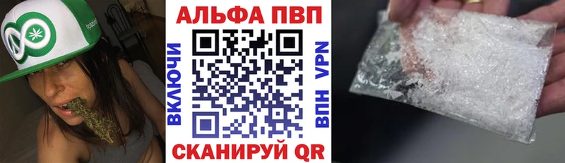 shop как зайти  дарнет шоп  Кадников  Alpha-PVP СК 