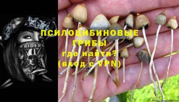 дмт Абинск