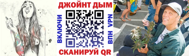 Конопля семена  блэк спрут зеркало  Кадников 